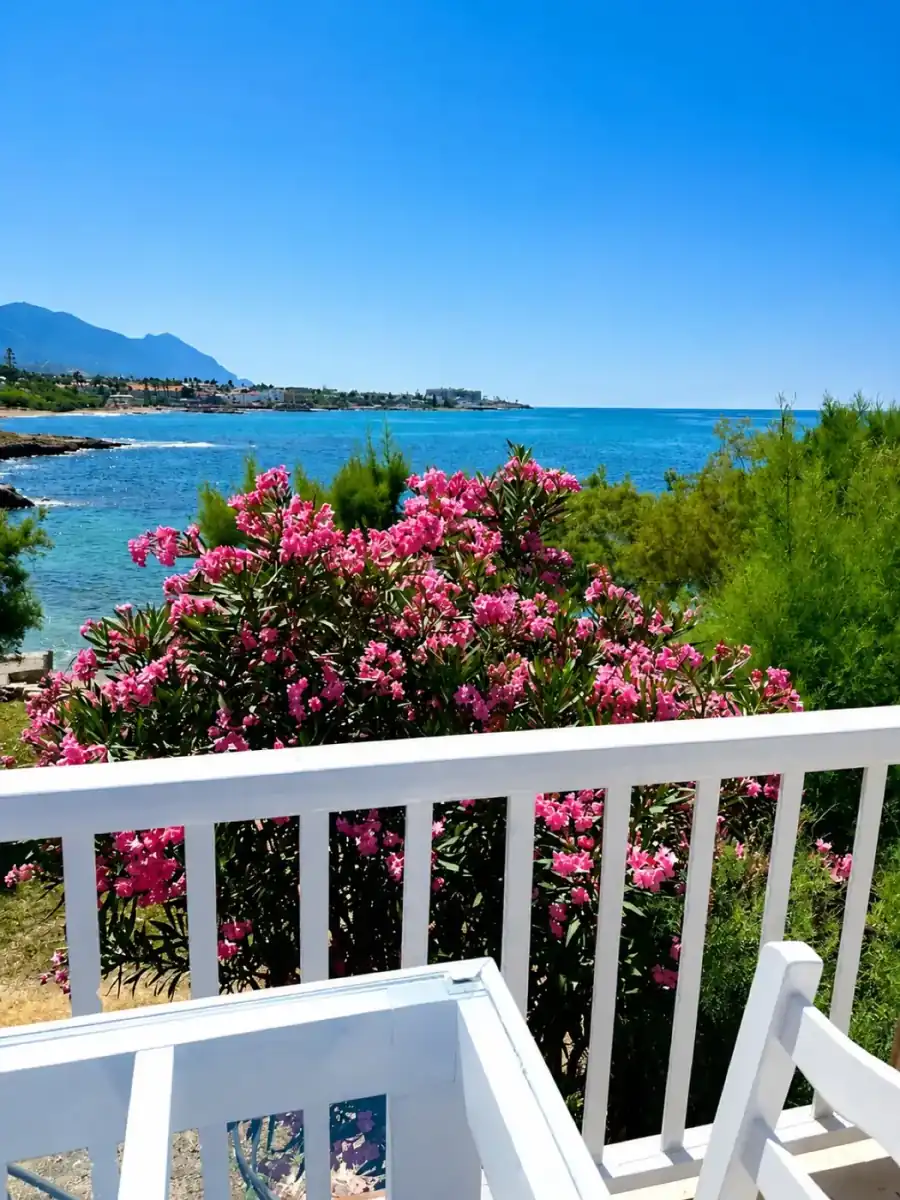 Restaurant terrace sea view with flowers